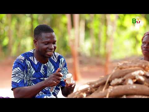 Scènes du Bénin: à la découverte de Toviklin au cœur du Couffo
