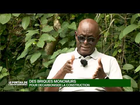 Portail de l'environnement: Des briques monomurs pour décarboniser la construction