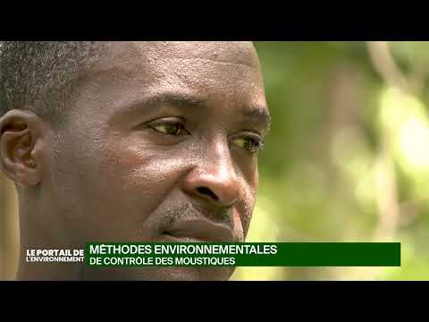 Portail de l'environnement: Méthodes environnementales de contrôle des moustiques..