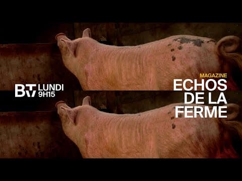 A voir sur Bénin TV: Echos de la ferme, Lundi à 9H15