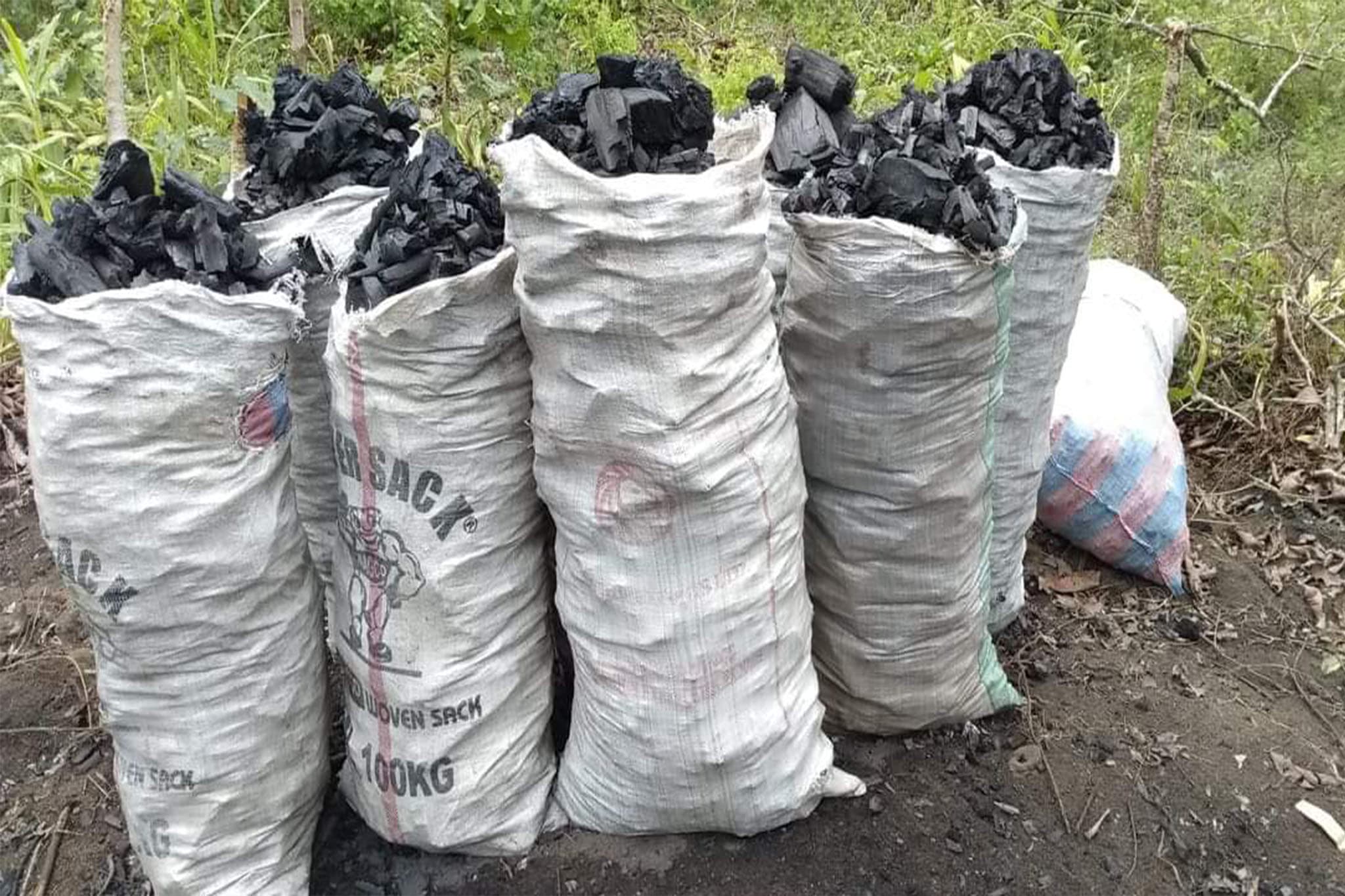 Bénin: bientôt un marché dédié à la pharmacopée et au charbon de bois